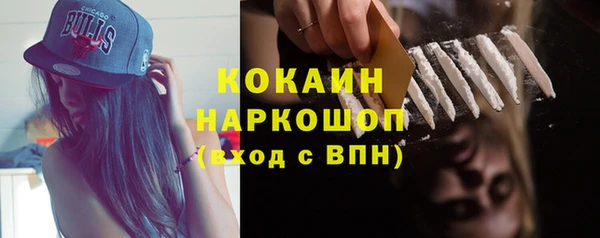 твердый Алзамай