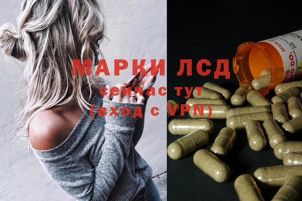 твердый Алзамай